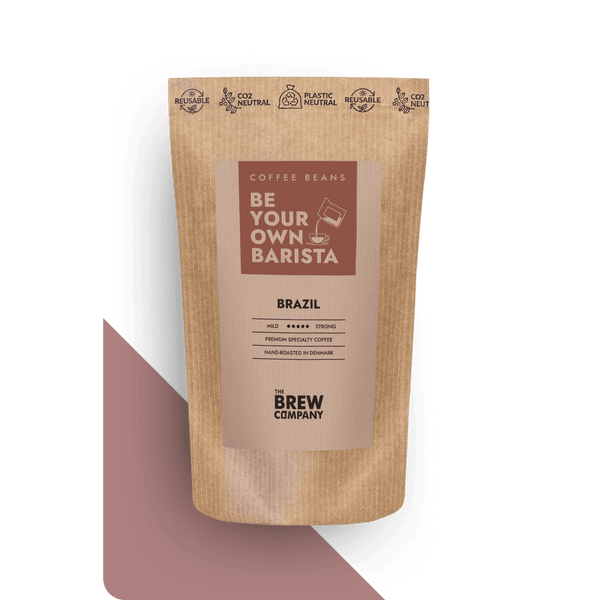 Specialty Brazilian Essence Coffee (454g/16oz, Medium Roast) 100% Brazilian  Arabica Coffee Freshly Roasted Whole Beans Non-GMO (Product of Brazil) :  : Grocery & Gourmet Food