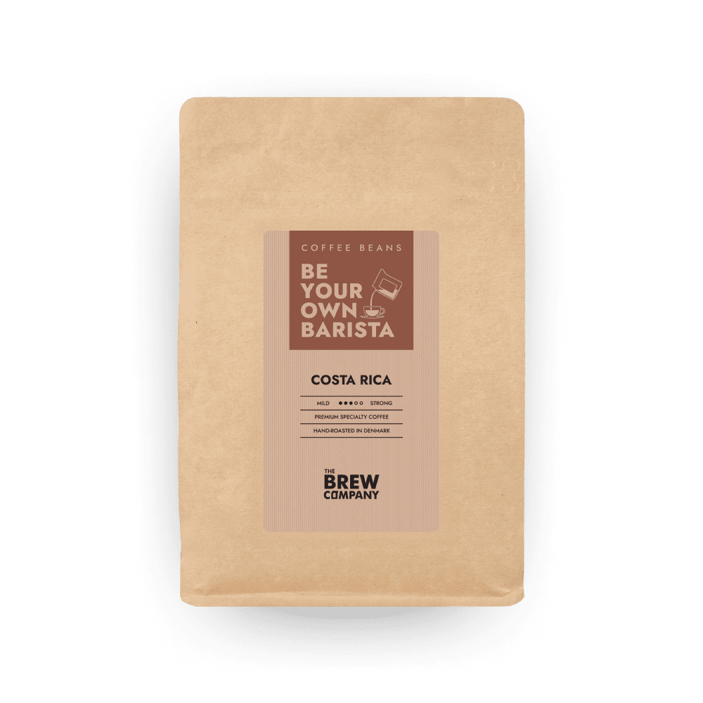 Costa Rica coffee beans - Specialty coffee beans - 333gr - The Brew Company