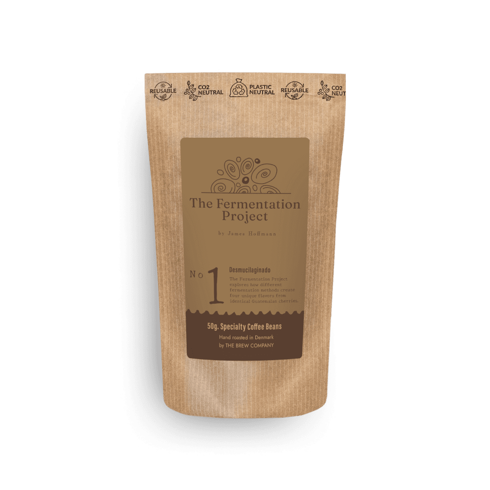 The Fermentation Project