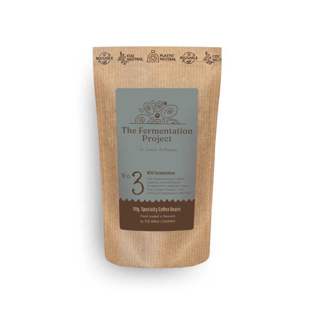 The Fermentation Project