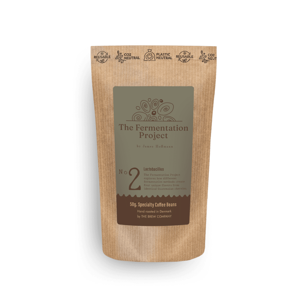 The Fermentation Project