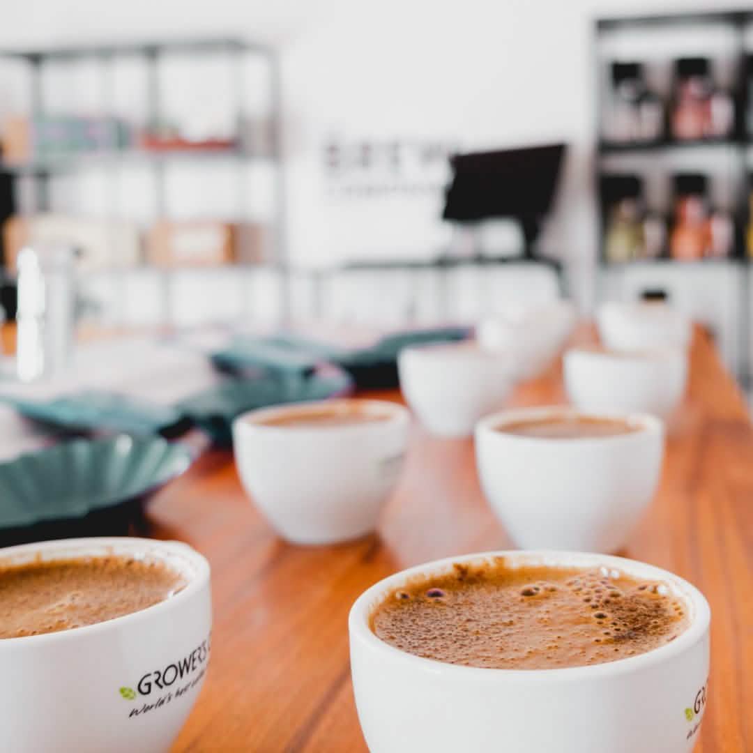 Introduction to the World of Specialty Coffee - workshop or masterclass