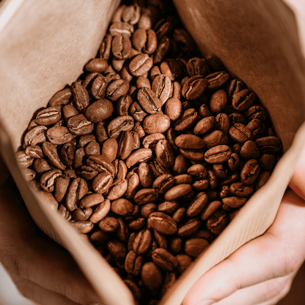 Close-up of coffee beans in a paper bag held by hands - The Brew Company