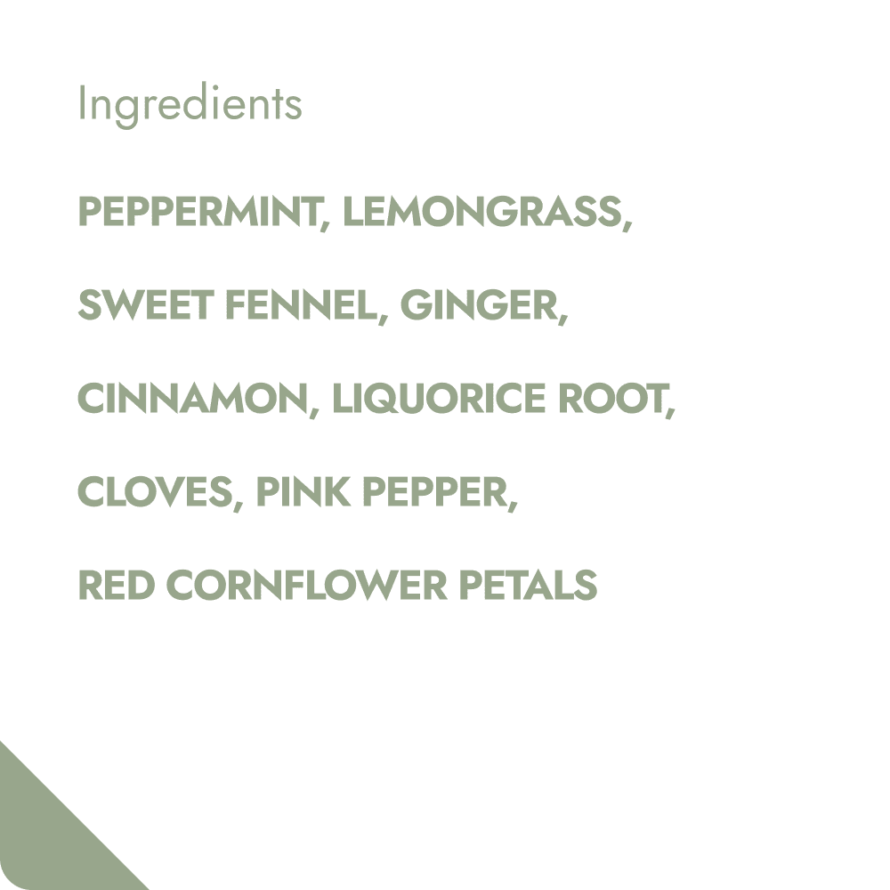 COOL MINT TEABREWER The Brew Company