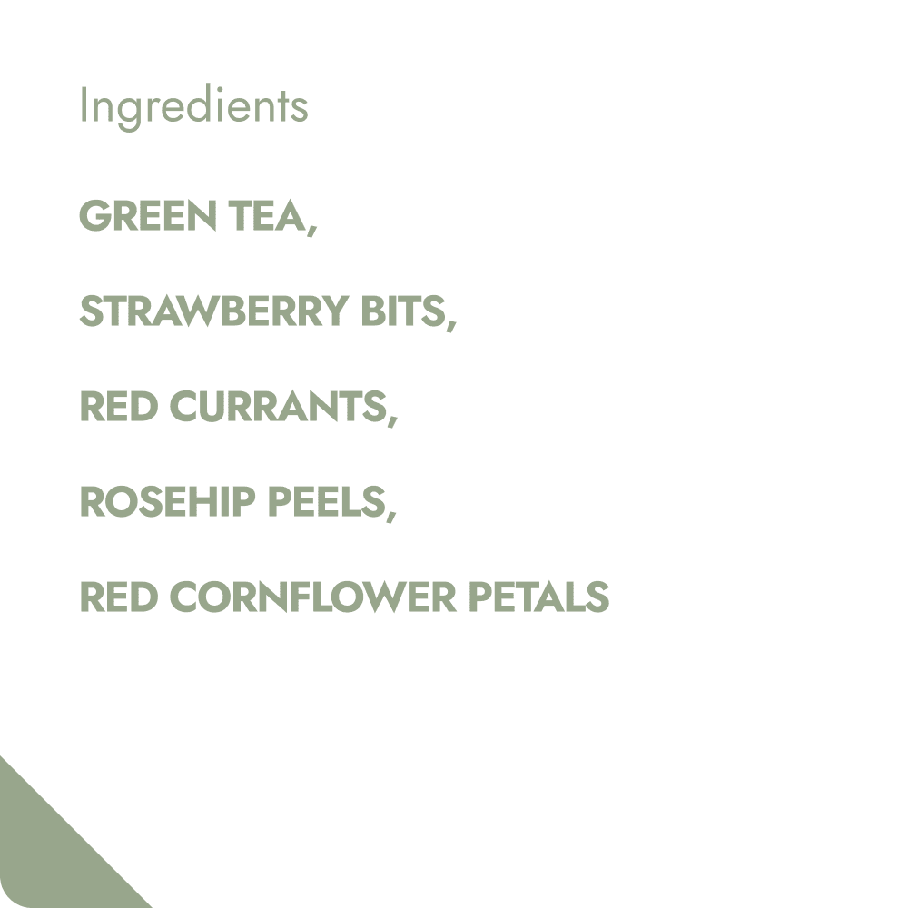 RED BERRY DREAM TEABREWER The Brew Company