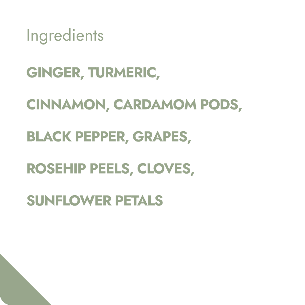 SPICY TURMERIC TEABREWER The Brew Company