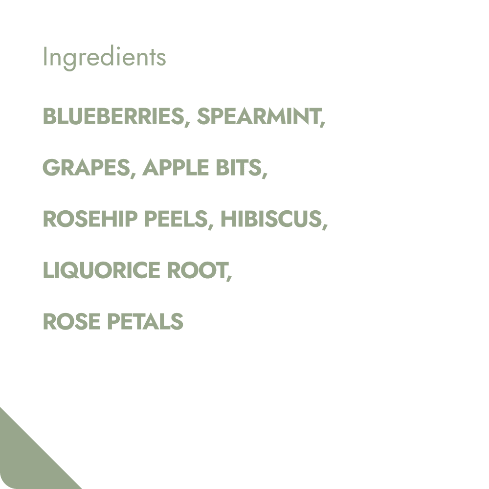 BLUEBERRY MINT TEABREWER The Brew Company