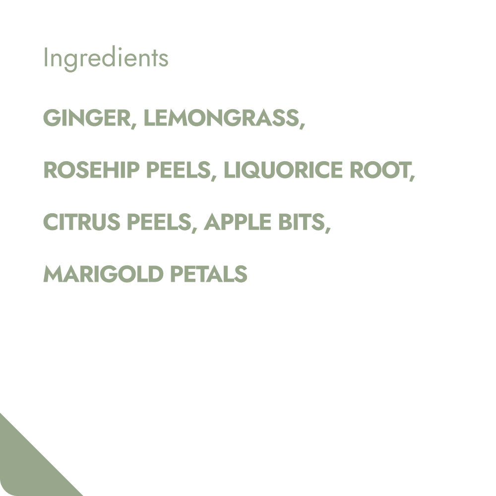 GINGER & LEMON TEABREWER The Brew Company