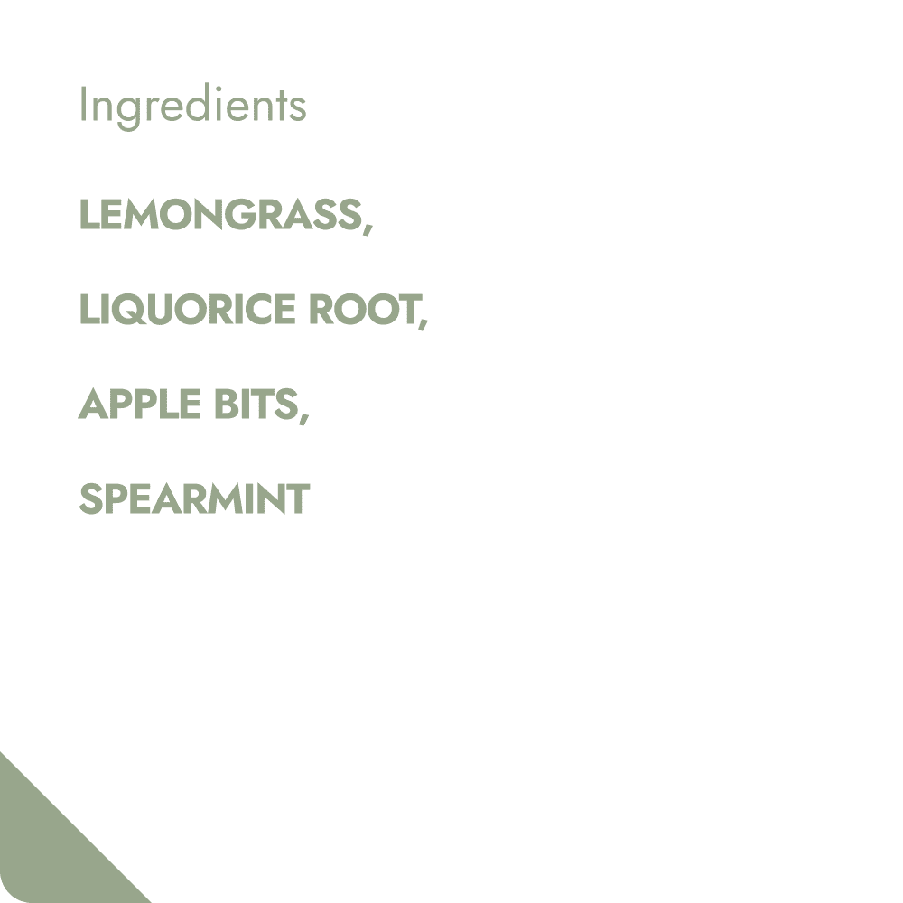 REVITALISING TREAT TEABREWER The Brew Company